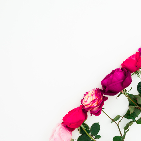 Roses flowers with leaves on white background. Flat lay, top view. Floral composition with copy spaceの写真素材