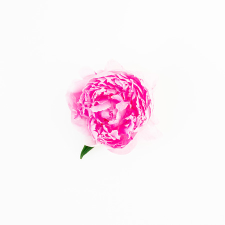 Woman hold peony flower on whiteの写真素材