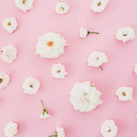 White roses on pastel pink background. Flat lay, top view.の写真素材