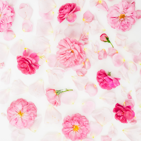 Floral pattern with pink roses and petals on whiteの写真素材