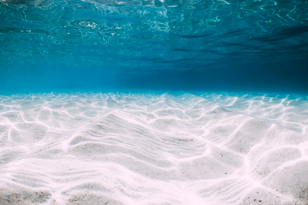 Tropical blue ocean with white sand underwater in Hawaiiの写真素材