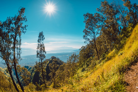 Aerial view from Abang mountain with forest and blue sky in Baliの写真素材