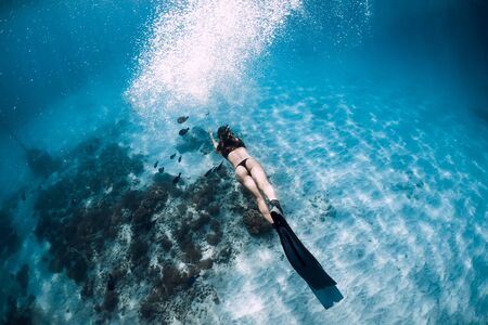 Attractive woman freediver with fins. Free diving underwater in Hawaiiの写真素材