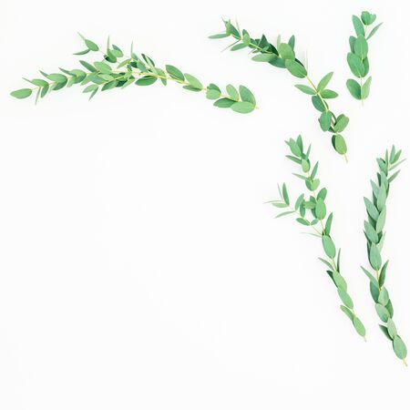 Floral composition with eucalyptus branches on white. Flat lay, top viewの写真素材