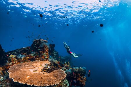 Woman freediver glides with fins at wreck ship. Freediving in blue ocean near wreck