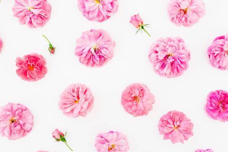 Pink flowers on white background. Floral lifestyle composition. Flat layの写真素材