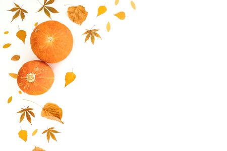 Autumnal composition. Fall leaves and pumpkins on white background. Autumn, thanksgiving day concept. Flat lay, top view. Copy spaceの写真素材