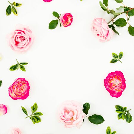 Roses flowers isolated on whiteの写真素材