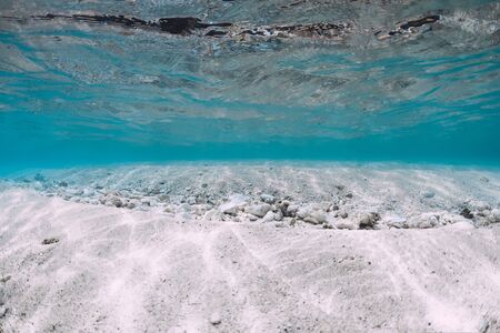Blue ocean with white sand bottom underwater in Hawaii