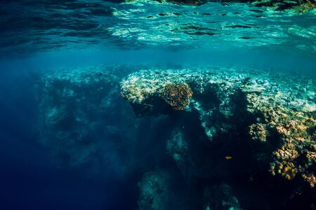 Underwater view with rocks and corals in transparent ocean. Underwater landscape