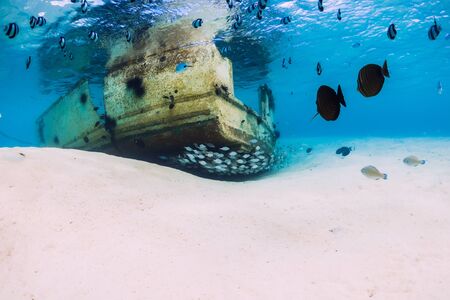 Tropical blue ocean with wreck of boat on sandy bottom and school of fish, underwater in Mauritiusの写真素材