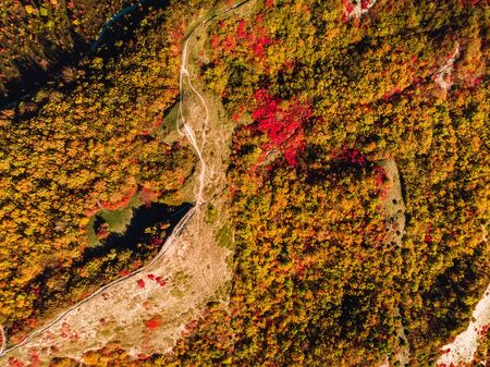 Aerial view of autumn forest and trail in mountainsの写真素材