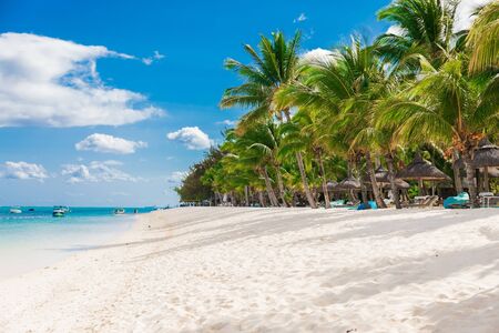 Luxury beach in Mauritius. Sandy beach with palms and blue oceanの写真素材