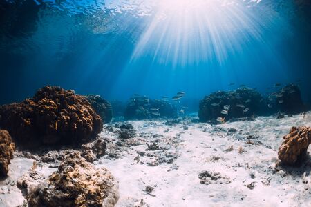 Underwater view with corals, sand and sun rays. Tropical sea and reefの写真素材