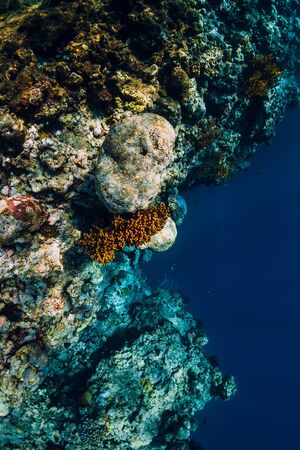 Underwater rocks with coral and fish in blue transparent ocean. National park Menjangan island, Baliの写真素材