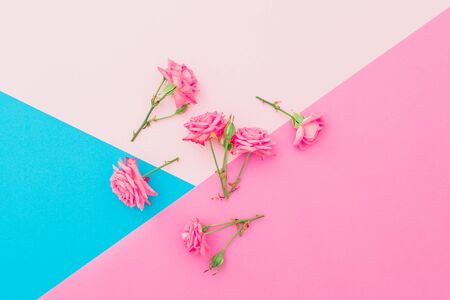 Colorful background with roses flowers. Flat lay. Top viewの写真素材