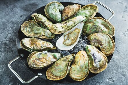 Fresh opened oysters shells platter with ice. Fresh sea food on a plateの写真素材