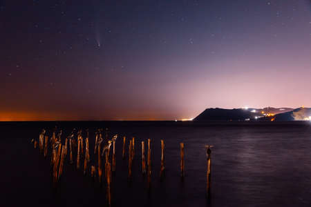 Comet C / 2020 NEOWISE at night star sky with sea, birds and city lights