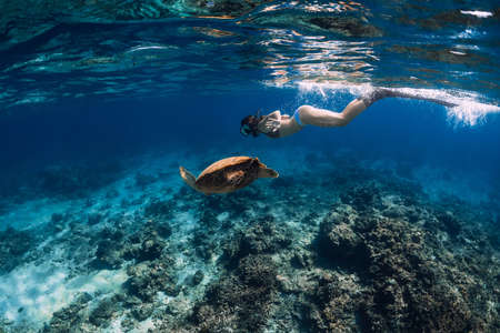 Woman with fins swimming underwater with big sea turtle.
