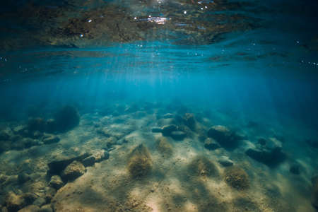 Underwater view with stones and seaweed in transparent sea. Sunlight in blue oceanの写真素材