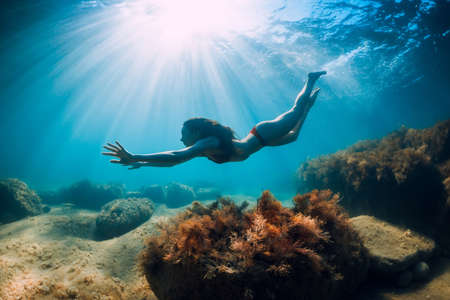 Attractive woman dive near stone with seaweed in underwater. Swimming in blue oceanの写真素材