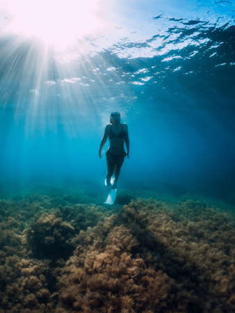 Freediver woman with white fins glides over seaweed bottom with sun rays. Freediving underwater in oceanの写真素材