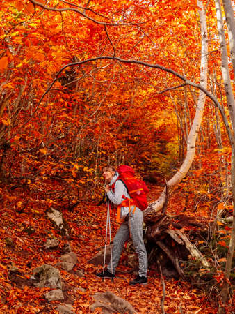 Hiker woman with backpack on trail in the fall autumnal forest.の写真素材