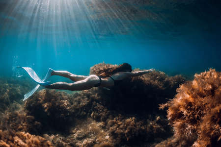 Freediver girl with white fins glides near rock with seaweed and sun rays. Freediving and beautiful light in blue oceanの写真素材
