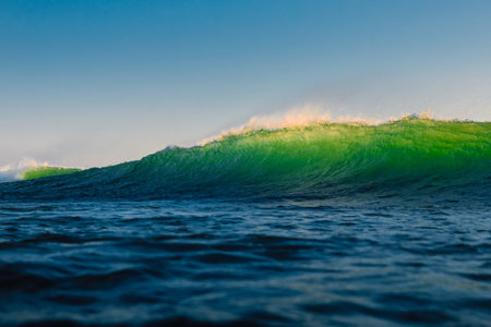 Perfect wave in ocean. Breaking green wave with sun light
