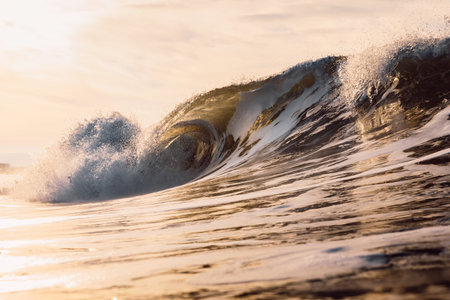 Glassy wave at sunrise. Breaking ocean wave with warm colors, swell for surfing