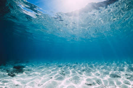 Tropical blue ocean with white sand and stones underwater in Hawaii. Ocean backgroundの写真素材