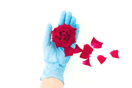 Pandemic concept with hand in glower and rose flower. Flat lay. Top viewの写真素材