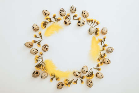 Round frame of eggs and yellow flowers on white background. Flat lay, top view. Easter holidayの写真素材