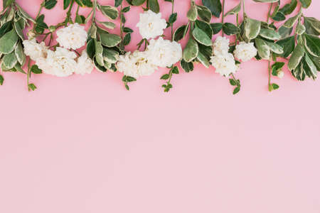Frame made of white roses flowers and green leaves on pink background. Flat lay, Top view