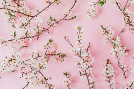 Spring pattern of branches with spring flowers on pink background. Flat lay, top view.