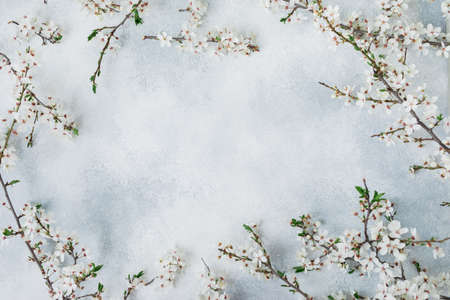 Floral frame of blooming spring white flowers isolated on gray background. Flat lay, top view....