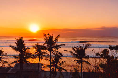 Sunset or sunrise with ocean waves and silhouette of coconut palmsの写真素材