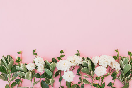 Frame made of white roses flowers and green leaves isolated on pink background. Flat lay, Top viewの写真素材