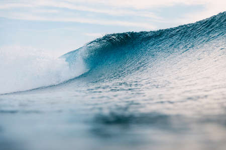 Blue perfect wave in tropical ocean.