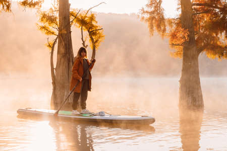 Woman on paddle board on lake with morning sunshine and Taxodium distichum trees