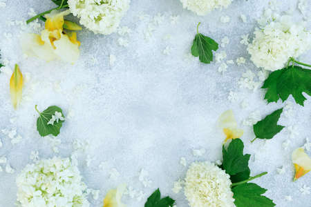 Frame of white hydrangea and yellow iris on gray background. Flat lay, top viewの写真素材