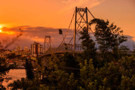 Road and araucaria trees to Bride's Veil waterfall in Urubici, Brazilの写真素材