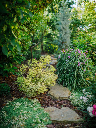 Landscape design with flower beds and path, natural landscaping panorama in home garden. Beautiful view of nice landscaped garden in residential backyard.の写真素材