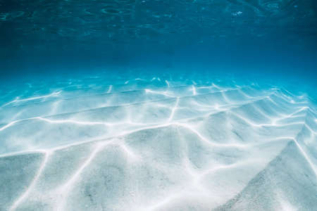 Underwater transparent ocean with white sandy bottom in Hawaiiの写真素材