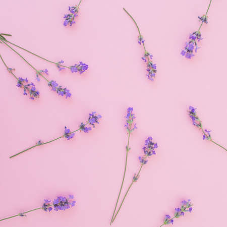 Floral pattern with lavender flowers isolated on pink background. Flat lay, top viewの写真素材
