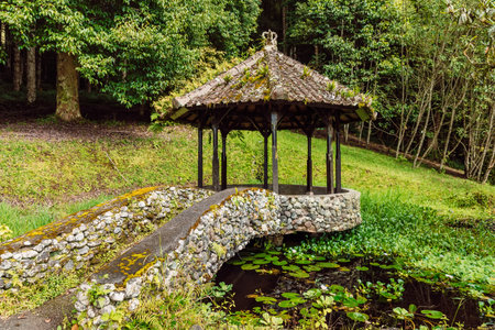 Building and lake in the tropical botanic garden with trees and ferns on background. Bali botanical garden, Indonesia.の写真素材