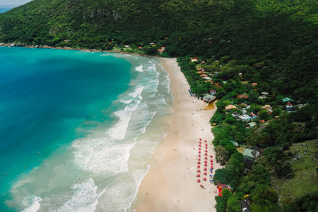Matadeiro beach with umbrellas and ocean with waves in Santa Catarina. Aerial view of holiday beachの写真素材