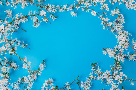 Blooming fruit flowers on blue background. Flat lay, top view. Spring time with white flowers background.の写真素材
