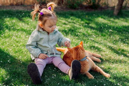 Child girl sitting on lawn and playing with ginger catの写真素材