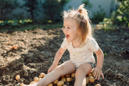 Happy little child girl smiling and sitting on potatoes in the gardenの写真素材